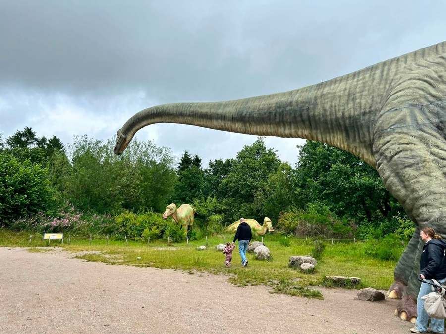 Besøg blandt dinosaurer